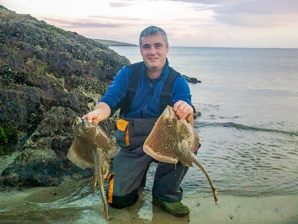 Shore caught Homelyn Rays captured by Sean Ivory (Fintra Strand, Killybegs, Co Donegal, June 2010)